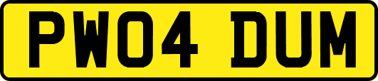 PW04DUM