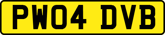 PW04DVB