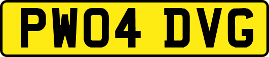 PW04DVG