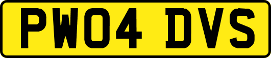 PW04DVS