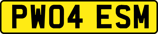 PW04ESM