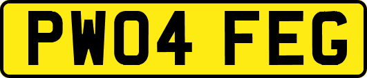 PW04FEG
