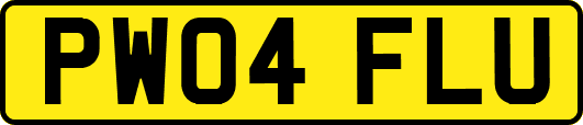 PW04FLU