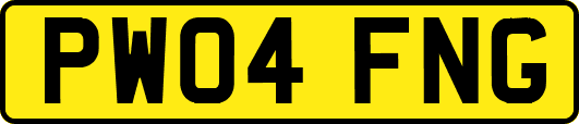 PW04FNG