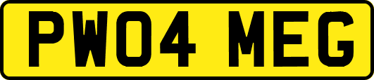 PW04MEG