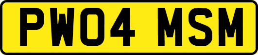 PW04MSM
