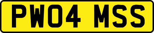 PW04MSS