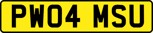 PW04MSU