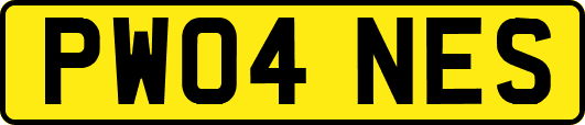 PW04NES