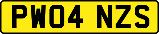 PW04NZS