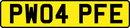 PW04PFE