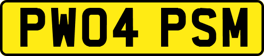 PW04PSM