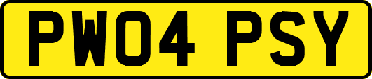 PW04PSY