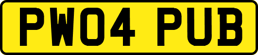 PW04PUB