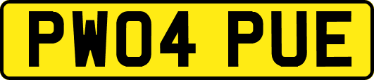 PW04PUE