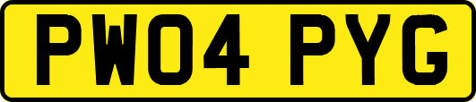 PW04PYG