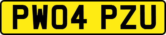 PW04PZU