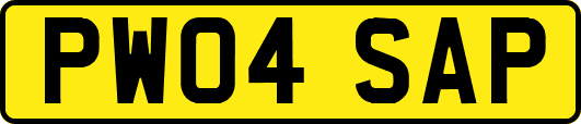 PW04SAP