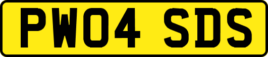 PW04SDS