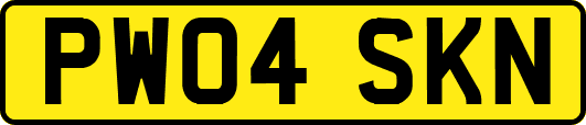 PW04SKN