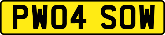 PW04SOW