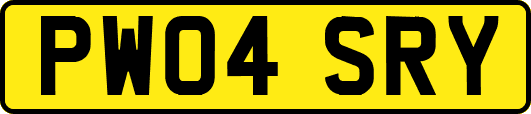 PW04SRY