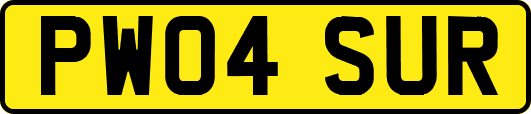 PW04SUR
