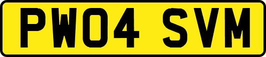PW04SVM
