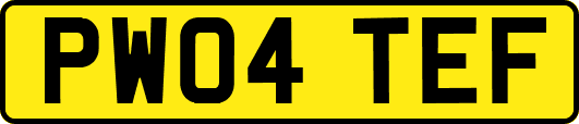 PW04TEF