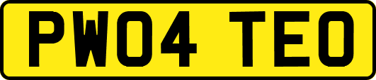 PW04TEO