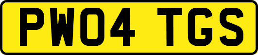 PW04TGS