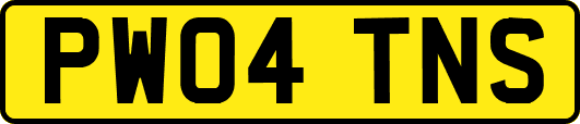 PW04TNS