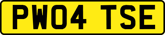 PW04TSE