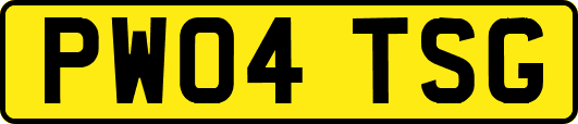 PW04TSG