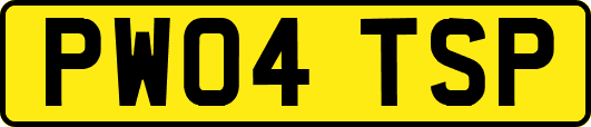 PW04TSP