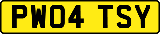 PW04TSY