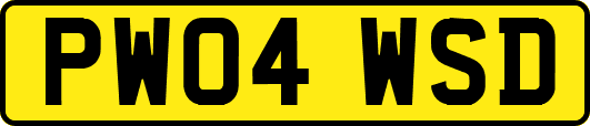 PW04WSD