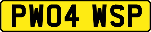 PW04WSP