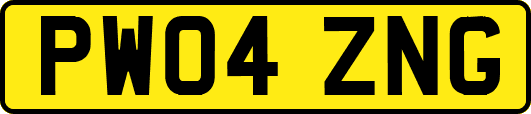 PW04ZNG