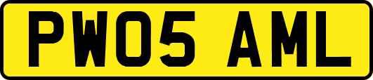 PW05AML