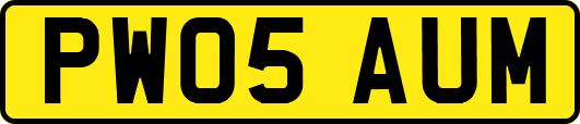 PW05AUM