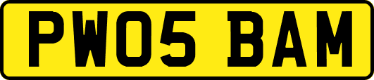 PW05BAM