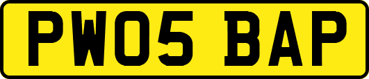 PW05BAP