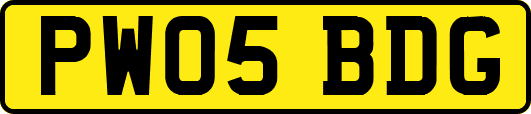 PW05BDG
