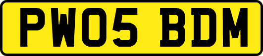 PW05BDM