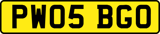 PW05BGO