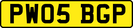 PW05BGP