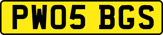 PW05BGS