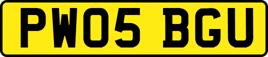 PW05BGU