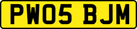 PW05BJM